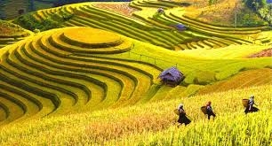 Ha Giang – Trekking Tour