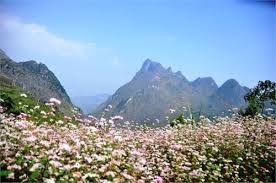 Ha Giang – Trekking Tour