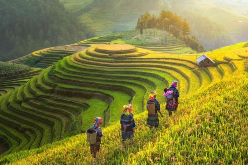 Sapa By Bus 2 Days – 1 Night with Cat Cat village trekking and Fansipan Peak – The Roof of INDOCHINA