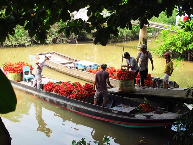 MEKONG DELTA TOUR TO CAI BE – TAN PHONG ISLAND FULL DAY