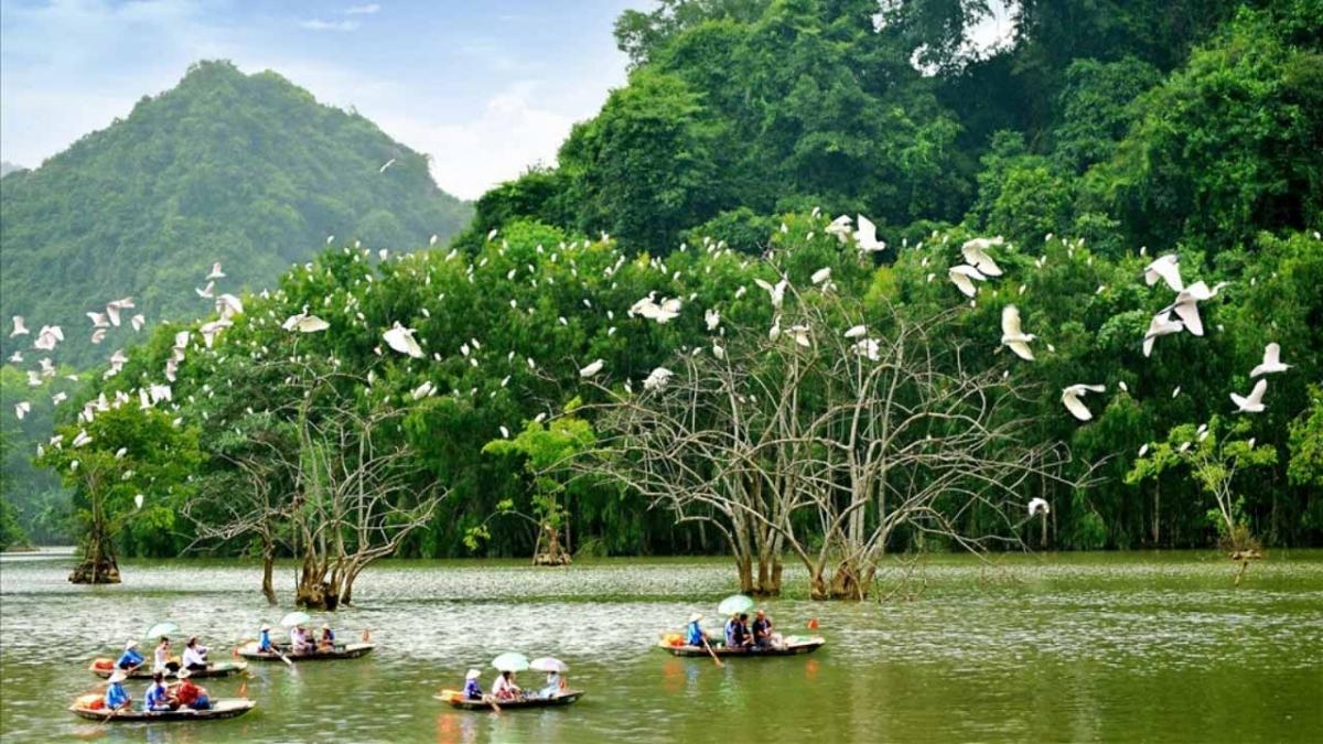 MUA CAVES – HOA LU – THUNG NHAM - LET'S ADMIRE THE WILD BEAUTY OF NINH BINH